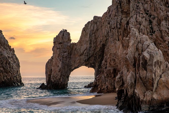 Dinner Cruise Tour in Cabo San Lucas with Tequila Tasting - Who will enjoy this Cabo cruise most