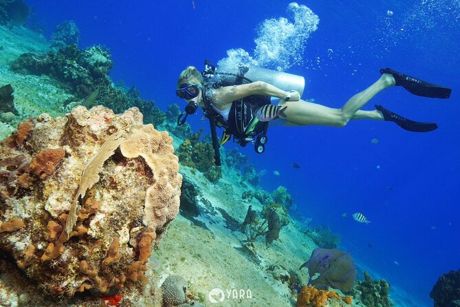 Discover Scuba Diving - A good choice for families with teens
