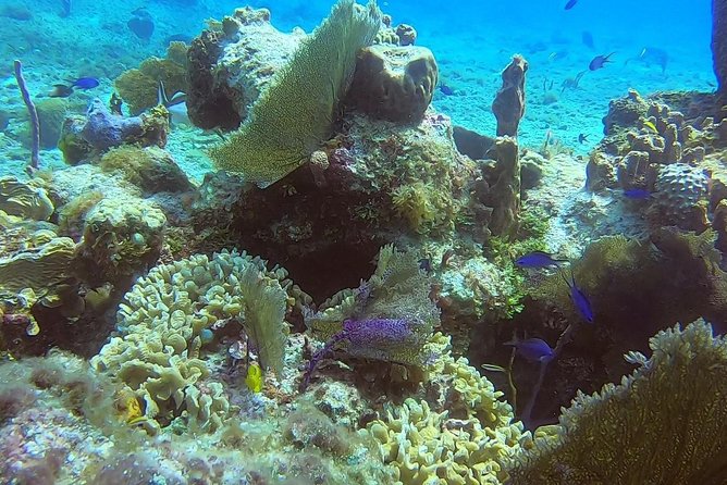 Discover Scuba Diving - Is $95 a fair price?