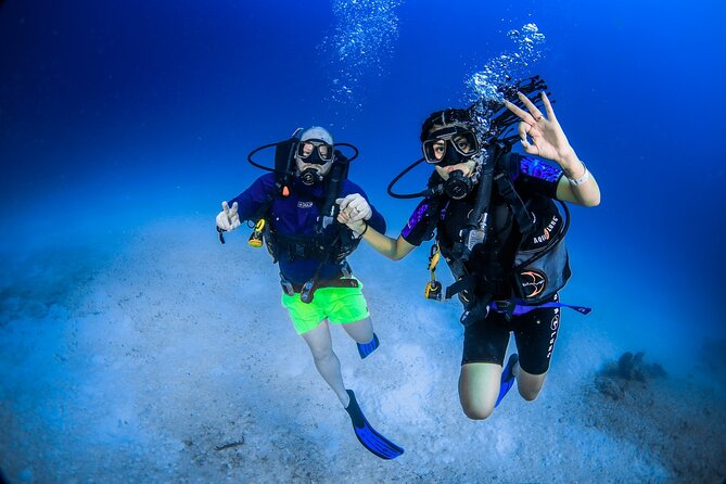 Discover Scuba Diving & Beach Club with Transportation In Riviera Maya - A short route into the Mexican Caribbean