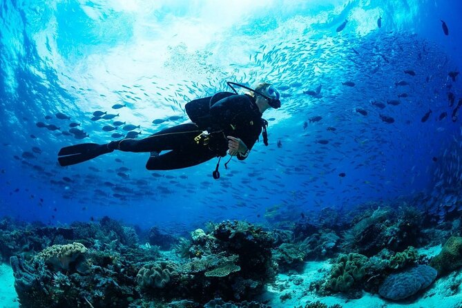 Discover Scuba Diving & Beach Club with Transportation In Riviera Maya - The shallow-water practice is the key step