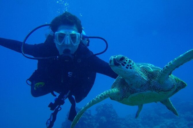 Discover Scuba Diving & Beach Club with Transportation In Riviera Maya - The strongest part is the human support