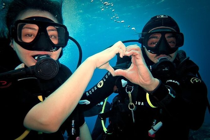 Discover Scuba Diving in Cozumel Paradise Reef - First reef session: 30 to 45 minutes