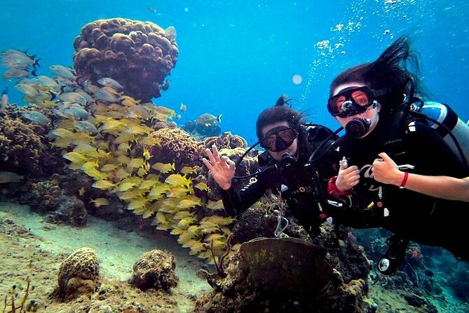 Discover Scuba Diving in Cozumel Paradise Reef - Timing is the main issue for cruise ship passengers