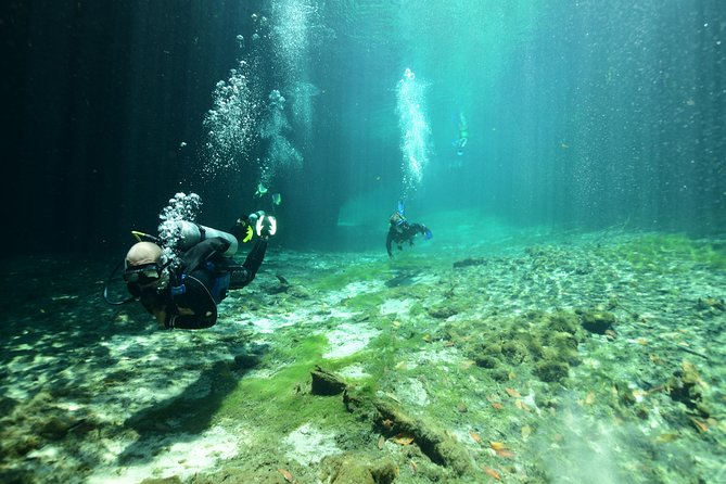 Discover Scuba Diving in Tulum - What Happens at 8:30 in Tulum