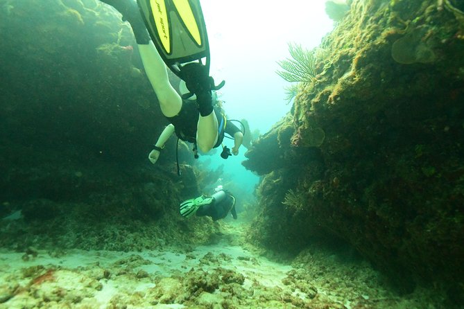 Discover Scuba Diving in Tulum - The 30 to 40 Minute Underwater Session