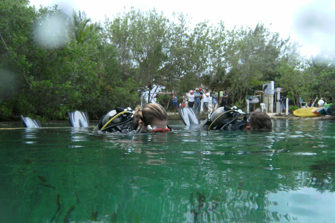 Discover Scuba Diving in Tulum - Is $140 a Fair Price?