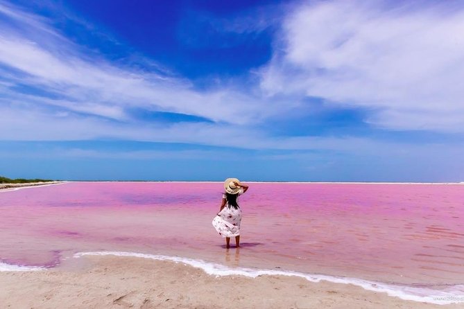 Discover the FABULOUS PINK WATERS at the Caribean (Las Coloradas+Río Lagartos) - The long road from Cancun