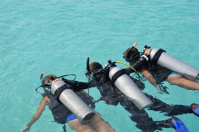 Discovery Scuba Dive. - What you see below the surface