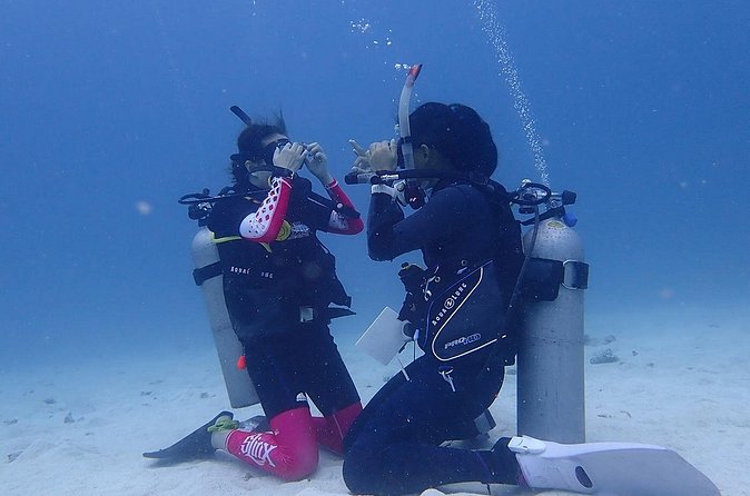 Discovery Scuba Dive. - The real cost and value of $100