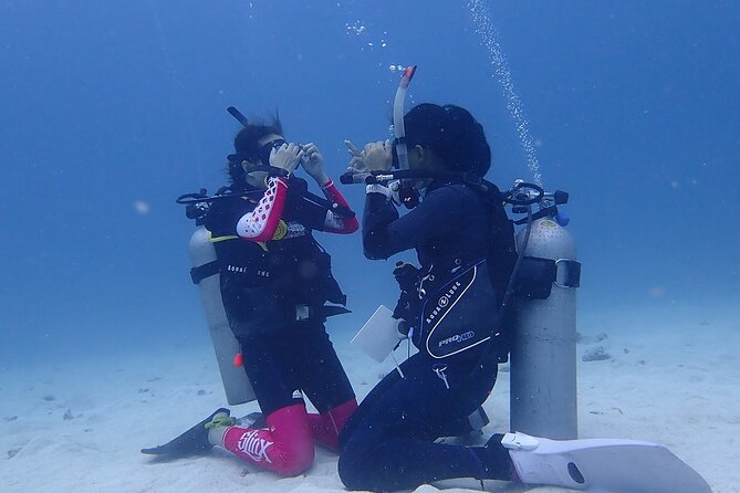 Discovery Scuba Dive. - Who should book this Costa Maya outing
