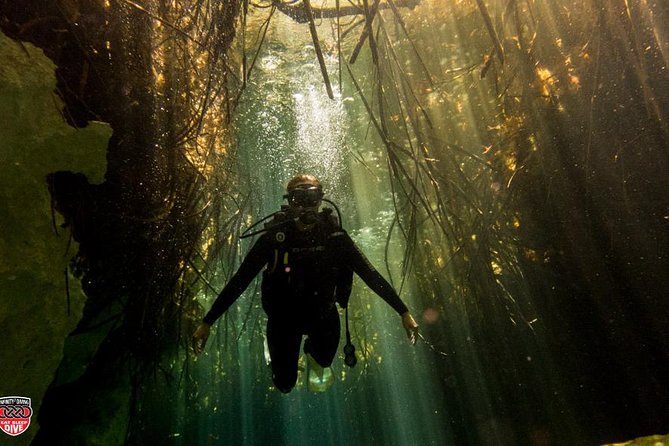 Discovery Scuba Diving - Why Casa Cenote works for a first scuba session