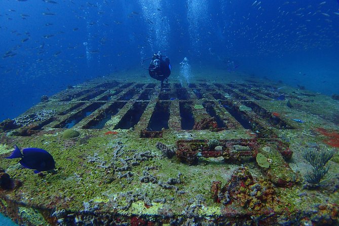 Diving in Cancun for Certified Divers | 2 Dives | All Inclusive - The guides are a major part of the value