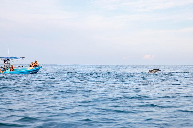 Dolphin Watching Tour - Boat comfort, shade and life-vest concerns