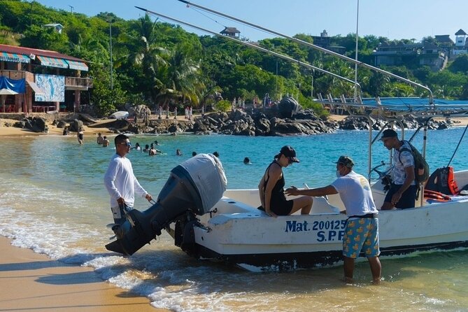 Dolphin Watching Tour - Is the price good value?