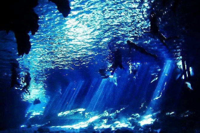 Dos Ojos Cenote Cavern Dive- The Barbie Line and The Bat Cave - What the $230 price includes in practical terms