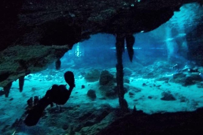 Dos Ojos Cenote Cavern Dive- The Barbie Line and The Bat Cave - An 8:00 am start from central Tulum