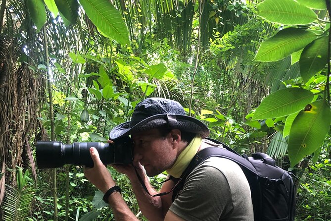 EcoHike to private beach, Jungle Walk to see plants & animals - The quiet beach and coastal views