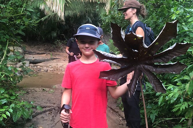 EcoHike to private beach, Jungle Walk to see plants & animals - What to bring for a hot three hours