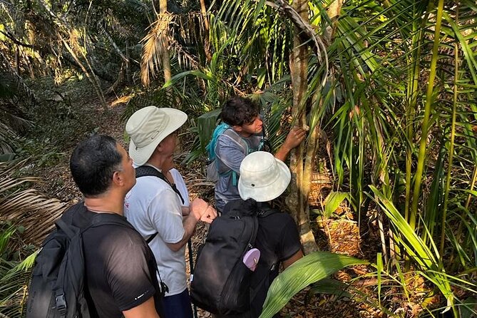 EcoHike to private beach, Jungle Walk to see plants & animals - Is $33.22 a good value?