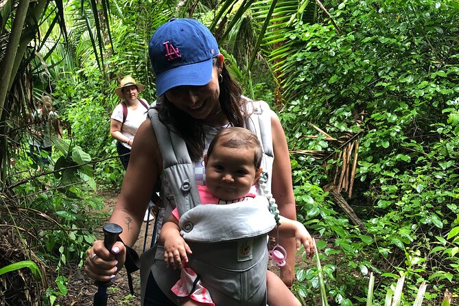 EcoHike to private beach, Jungle Walk to see plants & animals - Learning the jungle one stop at a time