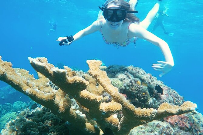 El Cielo Cozumel Snorkel Private Boat + Food + Drinks + Beach - Why a private boat changes the Cozumel snorkel day