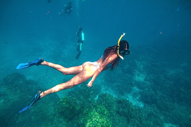 El Cielo Cozumel Snorkel Private Boat + Food + Drinks + Beach - Colombia Reef and the search for sea life