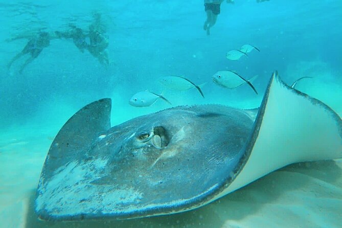 El Cielo Cozumel Snorkel Private Boat + Food + Drinks + Beach - The crew and the value of personal attention