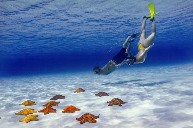 El Cielo Cozumel Snorkel Private Boat + Food + Drinks + Beach - Starting at San Francisco Beach Club