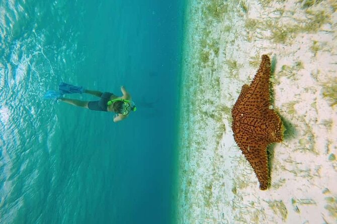 El Cielo Cozumel Snorkel tour by Catamaran - Why El Cielo makes this four-hour trip special