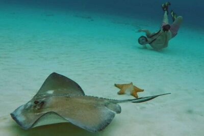 El Cielo Cozumel Snorkel tour by Catamaran
