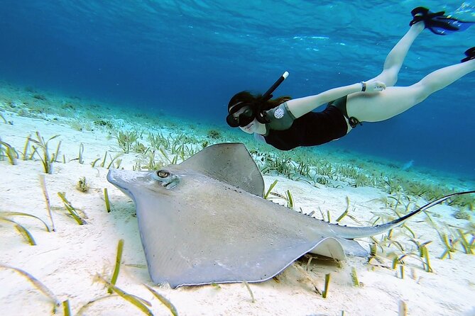 El Cielo Cozumel Snorkeling tour by Private Boat - Why this private Cozumel trip feels different