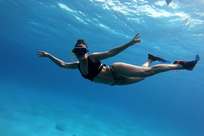 El Cielo Cozumel Snorkeling tour by Private Boat - El Cielo: starfish over a sandy floor