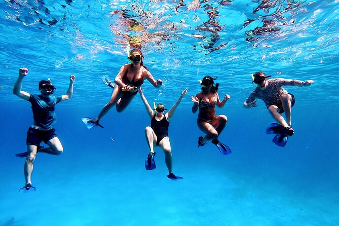 El Cielo Cozumel Snorkeling tour by Private Boat - Ceviche, drinks, and the floating snack break
