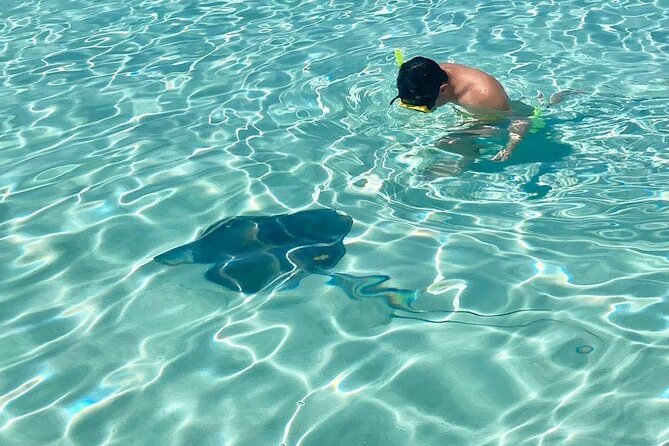 El Cielo Cozumel Snorkeling tour by Private Boat - What the crew adds to the experience