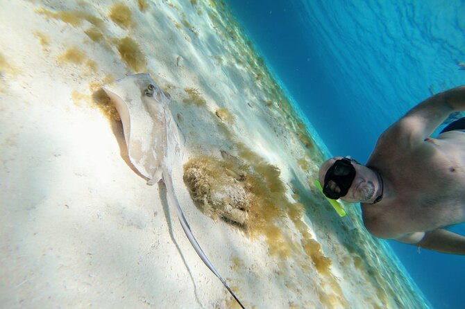 El Cielo Cozumel Snorkeling trip by Catamaran - The beach break needs a careful explanation
