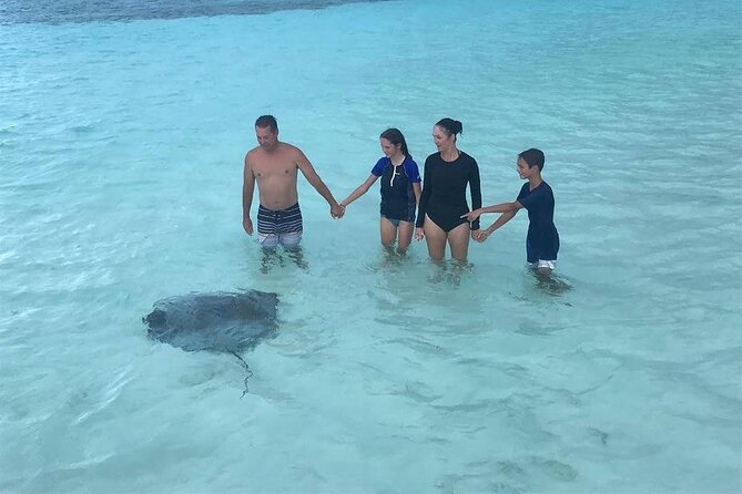 El Cielo Cozumel Snorkeling trip by Catamaran - Palancar and Columbia reefs: the main snorkeling run