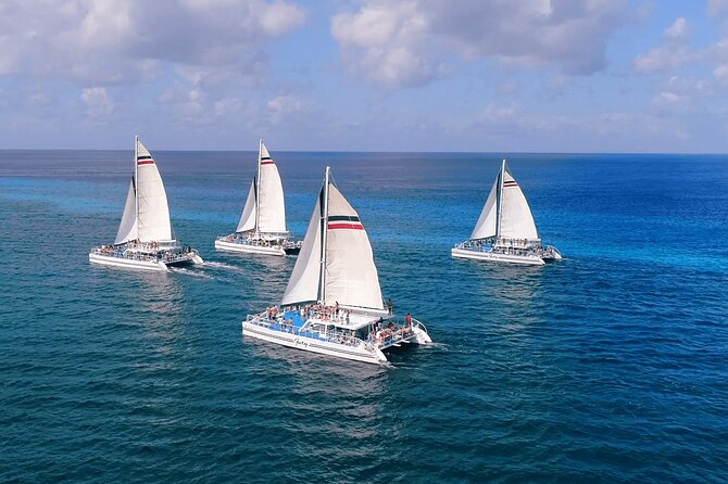 El Cielo, Palancar Snorkel & Beach Party Experience - Practical tips for a smoother afternoon
