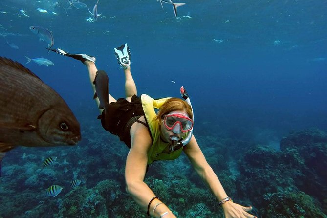 El Cielo Snorkel by Private Boat - Ceviche, fruit, and drinks on the water