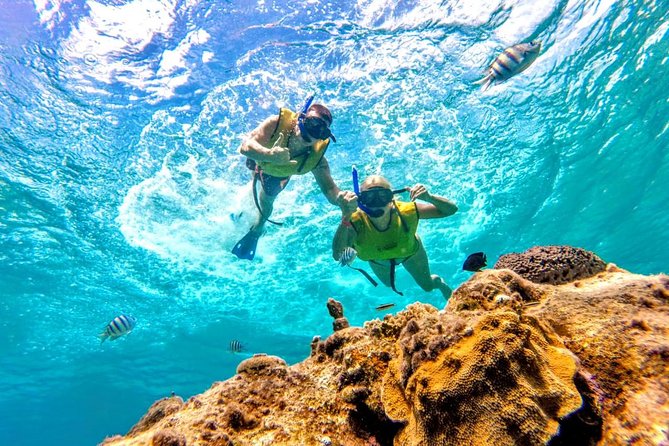 El Cielo Snorkel by Private Boat - The secluded beach finish