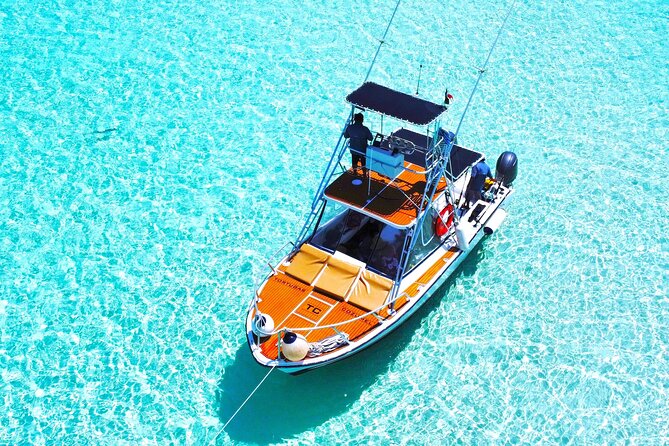 El Cielo Snorkel by Private Boat - Who will enjoy this most