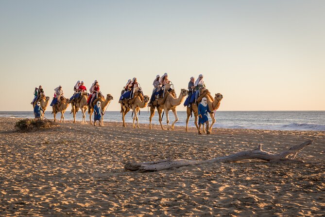Electric Bike and Beach Camel Ride with Mexican Buffet Lunch - The drive to Tierra Sagrada