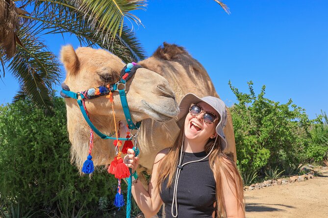 Electric Bike and Beach Camel Ride with Mexican Buffet Lunch - Riding beside the Pacific