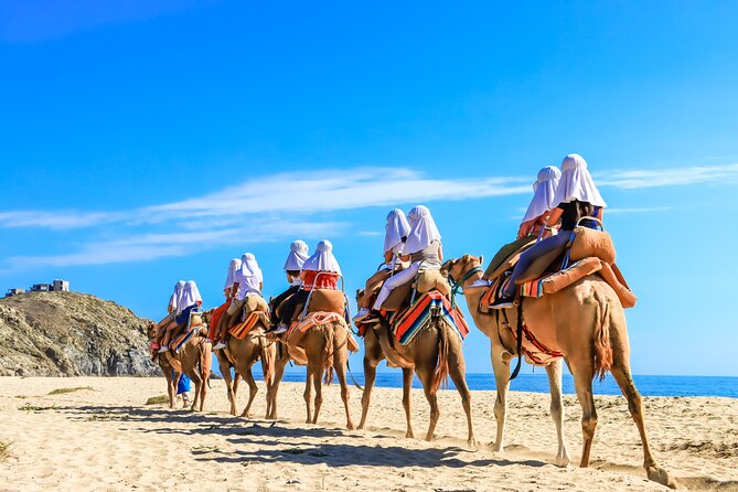 Electric Bike and Beach Camel Ride with Mexican Buffet Lunch - Who will enjoy this most?