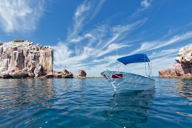 Espiritu Santo Island Snorkel & Sea Lion Adventure - Key points to know before you book