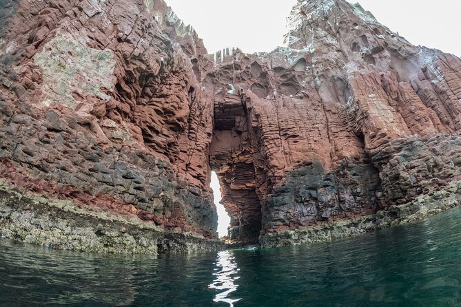 Espiritu Santo Island Snorkel & Sea Lion Adventure - Ensenada Grande and a lunch worth planning around