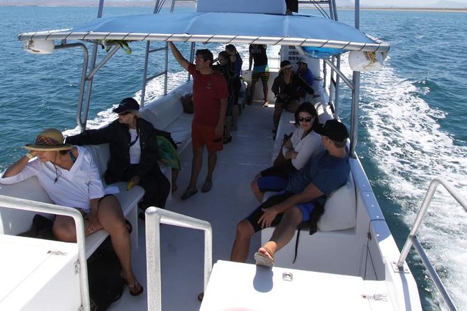 Espiritu Santo Island Snorkel & Sea Lion Adventure - The return route and bonus wildlife