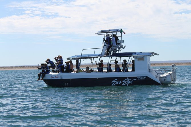 Espiritu Santo Island Snorkel & Sea Lion Adventure - Who will enjoy this tour most