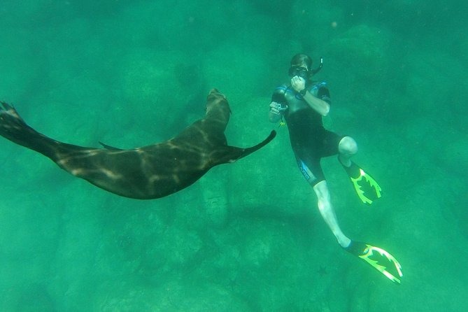 Espiritu Santo Island Snorkel & Sea Lion Adventure - Timing, weather, and small details that matter