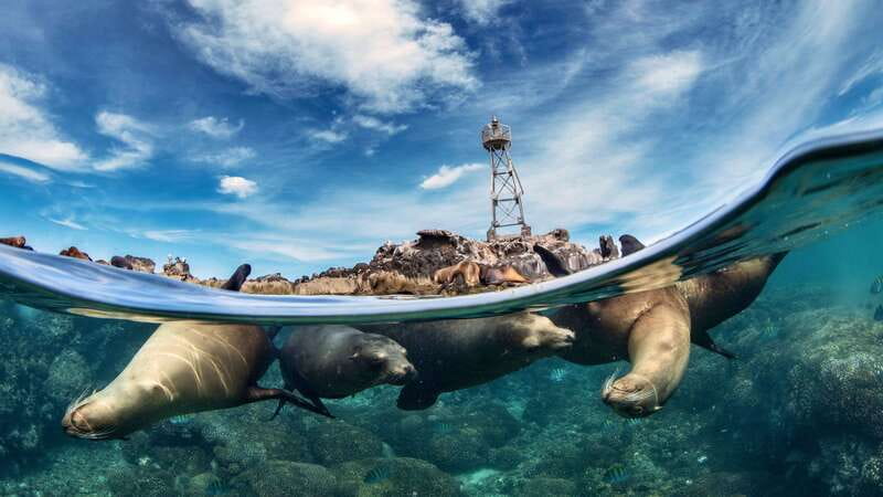 Espiritu Santo Island: Snorkeling Sea Lion Adventure - The ride across the Sea of Cortez